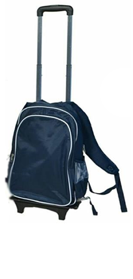Navy blue trolley with removable bag Navy blue trolley with removable bag