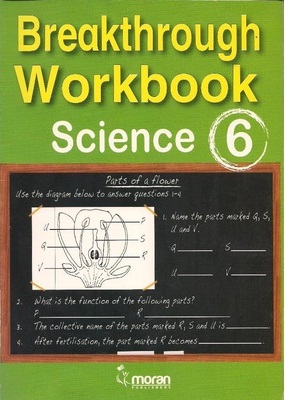 Primary Breakthrough Workbook Science Std 6