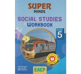 Super Minds Social Studies Workbook Grade 5