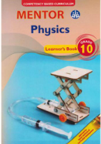 Mentor Physics Grade 10