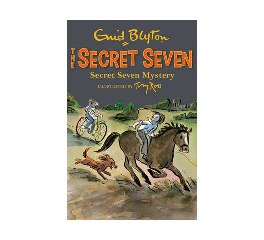 Secret Seven Mystery Book 9