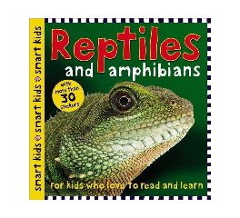 Smart Kids Sticker Reptiles