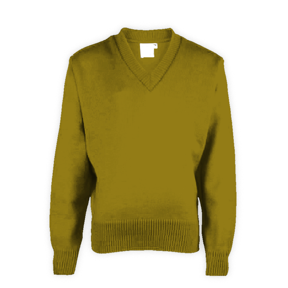 Light Green Plain School Sweaters